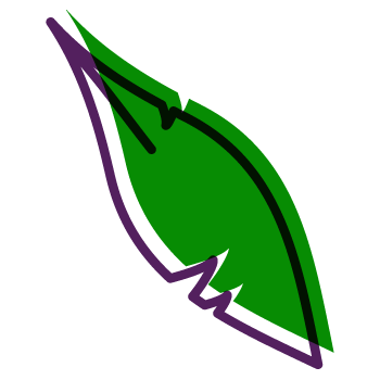 Pluim